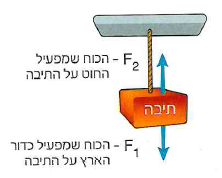 (בספר איור, היעזר במנחה) F1 - הכוח שמפעיל כדור הארץ על התיבה 